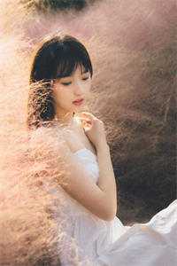 事业批女主只争业绩，绝不雌竞 全集